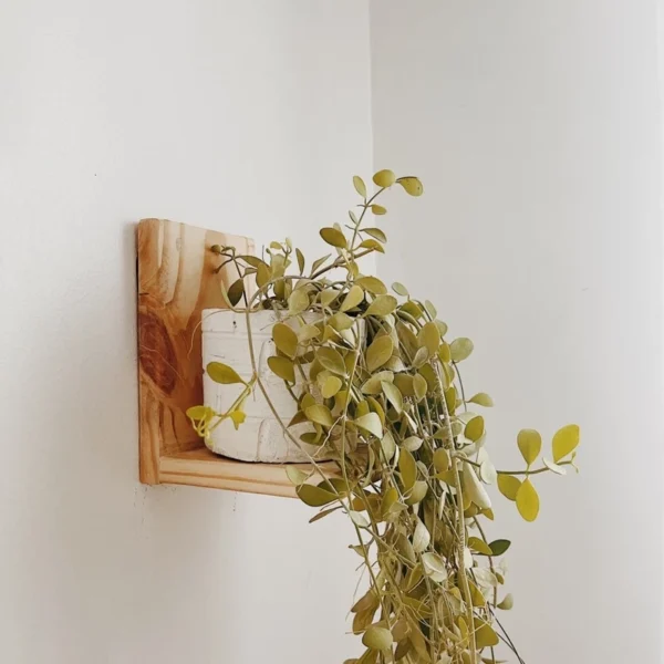 Mini Plant Holder Shelf (Lileth) - Image 3