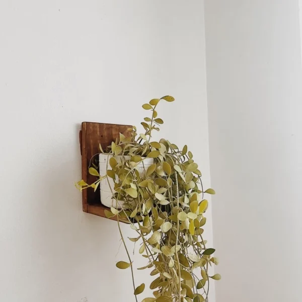 Mini Plant Holder Shelf (Lileth) - Image 7